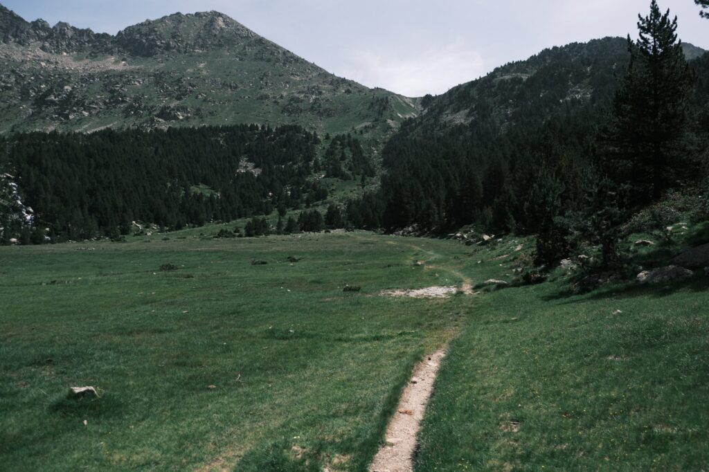 ジョング湖付近の登山道
