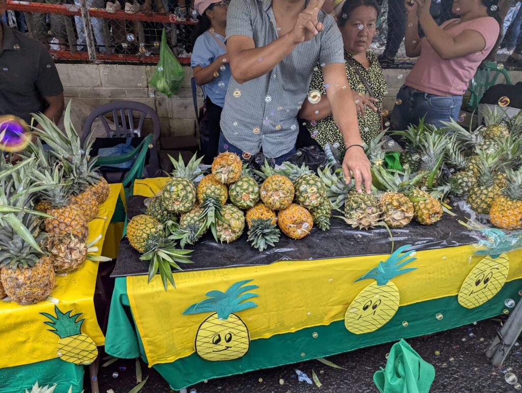 エルサルバドルの伝統的なお祭り「フィエスタ・パトロナレス(Fiesta Patronales)」の一つであるパイナップル祭り