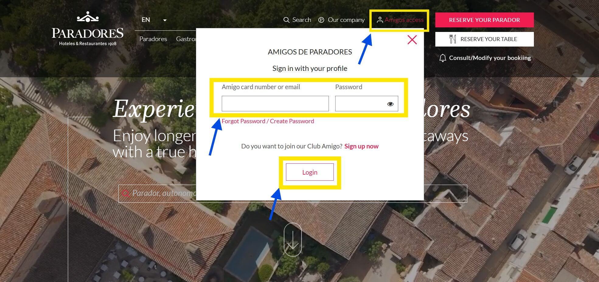 パラドール公式サイトのAmigos accessからメールアドレスとパスワードを入力してログインする画面