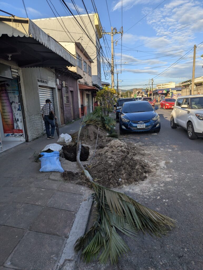 エルサルバドルの歩道と道路に横たわっている木と歩道の工事中に掘り起こされた土